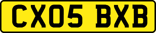 CX05BXB