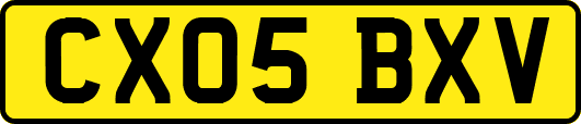 CX05BXV