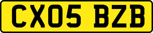 CX05BZB