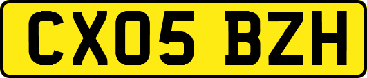 CX05BZH