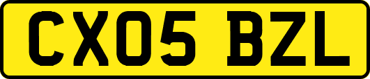 CX05BZL