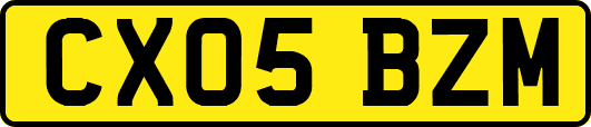 CX05BZM