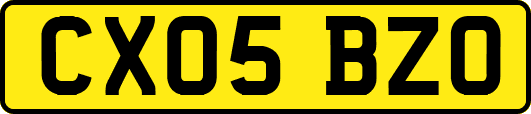 CX05BZO