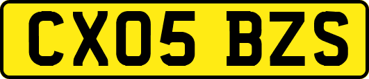CX05BZS