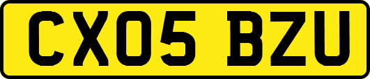 CX05BZU