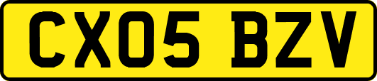 CX05BZV