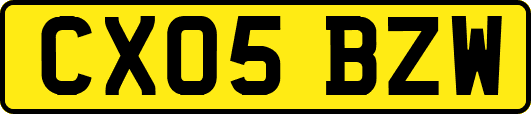 CX05BZW