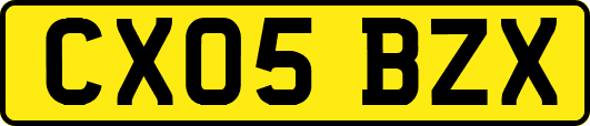 CX05BZX