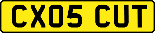 CX05CUT