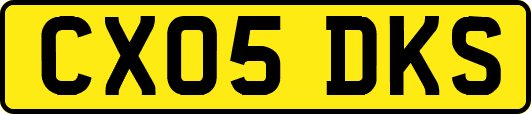 CX05DKS