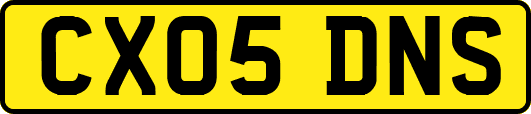 CX05DNS