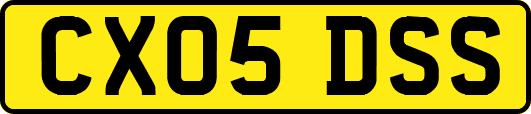 CX05DSS