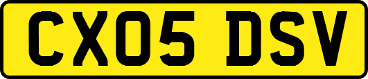 CX05DSV