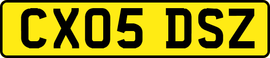 CX05DSZ