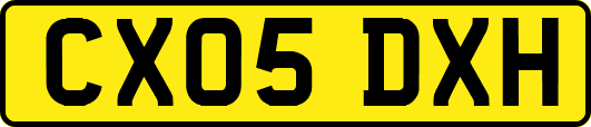 CX05DXH