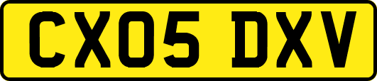 CX05DXV