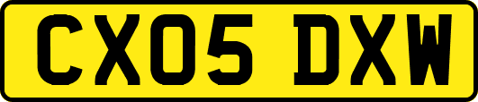 CX05DXW