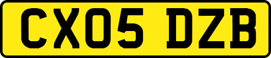 CX05DZB