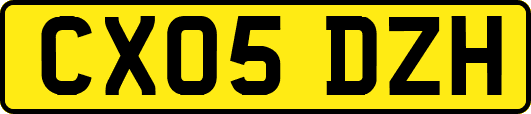CX05DZH