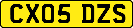 CX05DZS