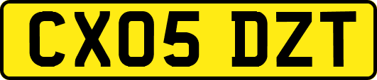 CX05DZT