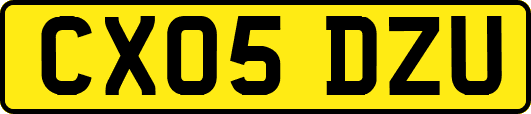 CX05DZU