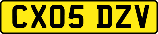 CX05DZV
