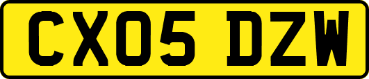 CX05DZW