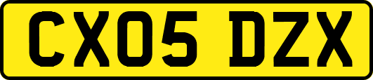 CX05DZX