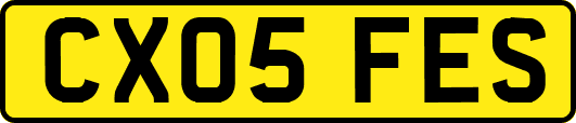 CX05FES
