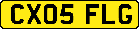 CX05FLG