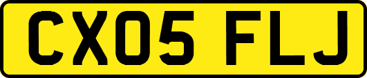 CX05FLJ