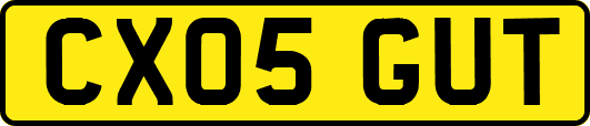 CX05GUT