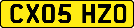 CX05HZO