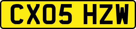 CX05HZW