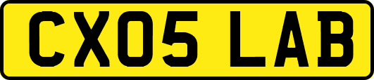 CX05LAB