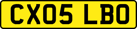 CX05LBO