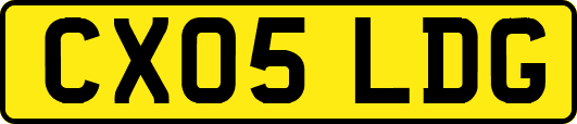 CX05LDG