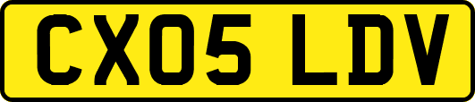 CX05LDV