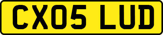 CX05LUD