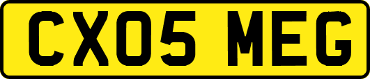 CX05MEG