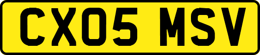 CX05MSV