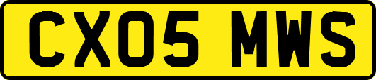 CX05MWS