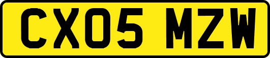CX05MZW
