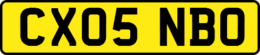 CX05NBO