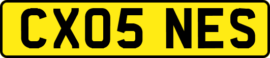 CX05NES