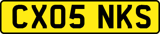 CX05NKS