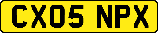 CX05NPX