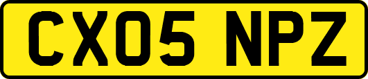 CX05NPZ