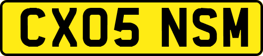 CX05NSM